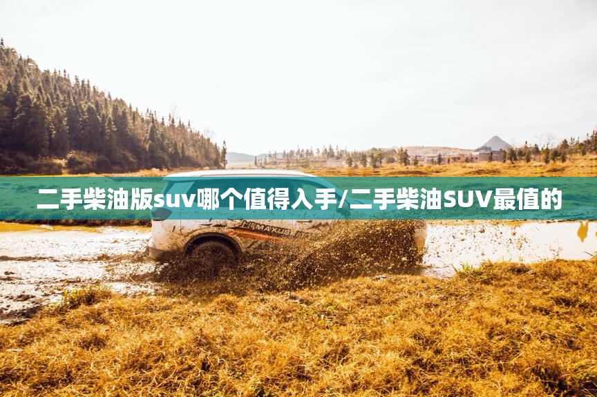 二手柴油版suv哪个值得入手/二手柴油SUV最值的