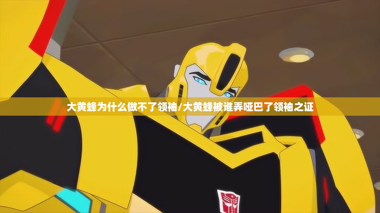 大黄蜂为什么做不了领袖/大黄蜂被谁弄哑巴了领袖之证 大黄蜂为什么做不了领袖/大黄蜂被谁弄哑巴了领袖之证