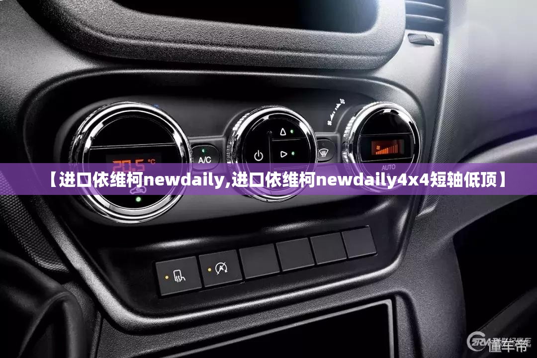【进口依维柯newdaily,进口依维柯newdaily4x4短轴低顶】
