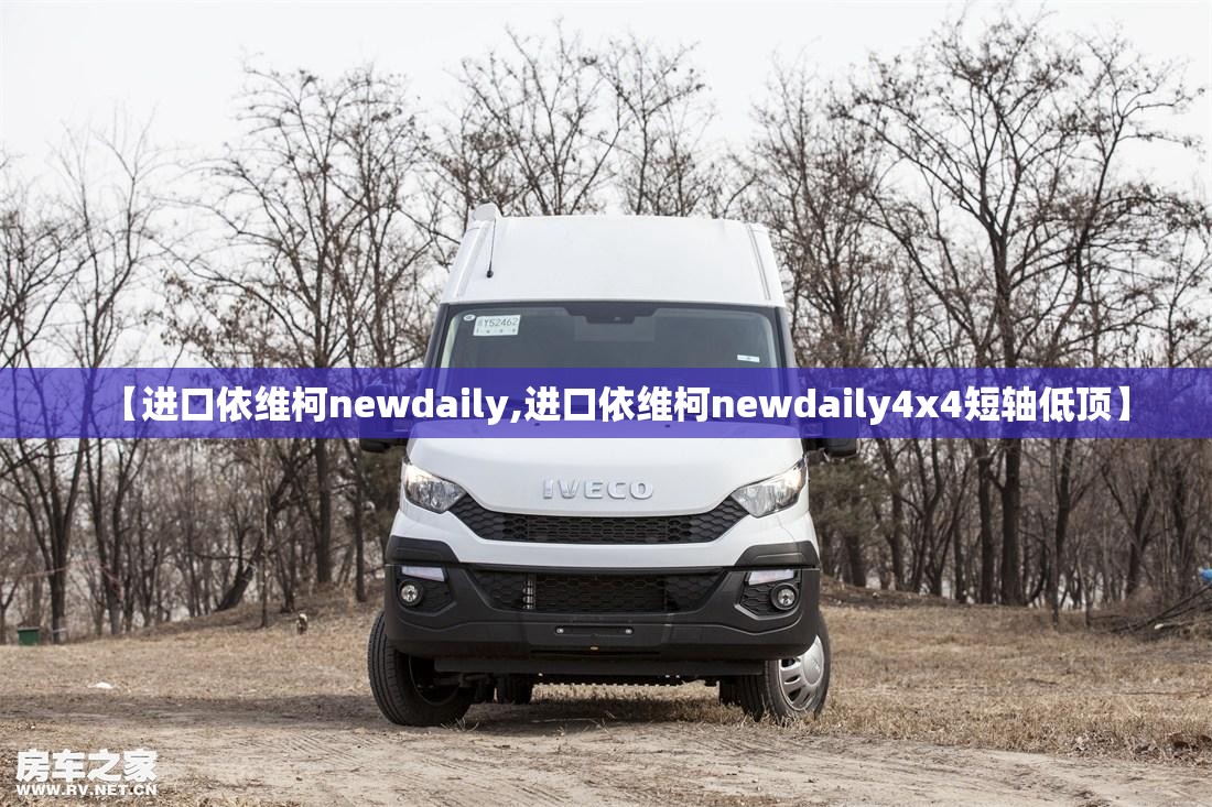 【进口依维柯newdaily,进口依维柯newdaily4x4短轴低顶】