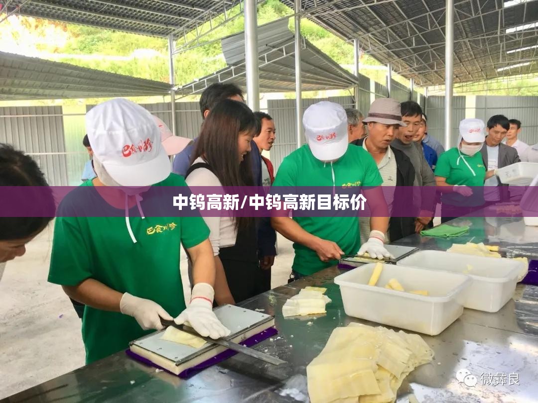 中钨高新/中钨高新目标价
