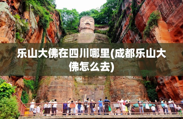 乐山大佛在四川哪里(成都乐山大佛怎么去) 乐山大佛在四川哪里(成都乐山大佛怎么去)