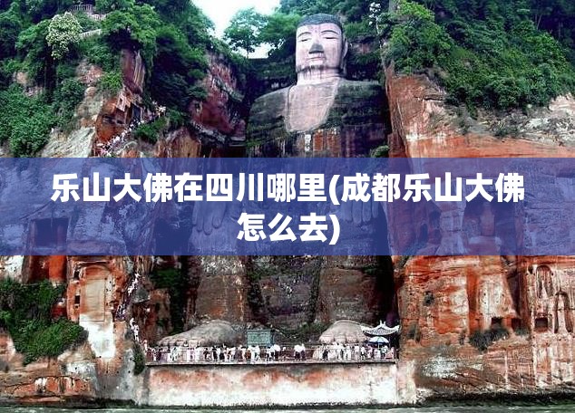 乐山大佛在四川哪里(成都乐山大佛怎么去) 乐山大佛在四川哪里(成都乐山大佛怎么去)