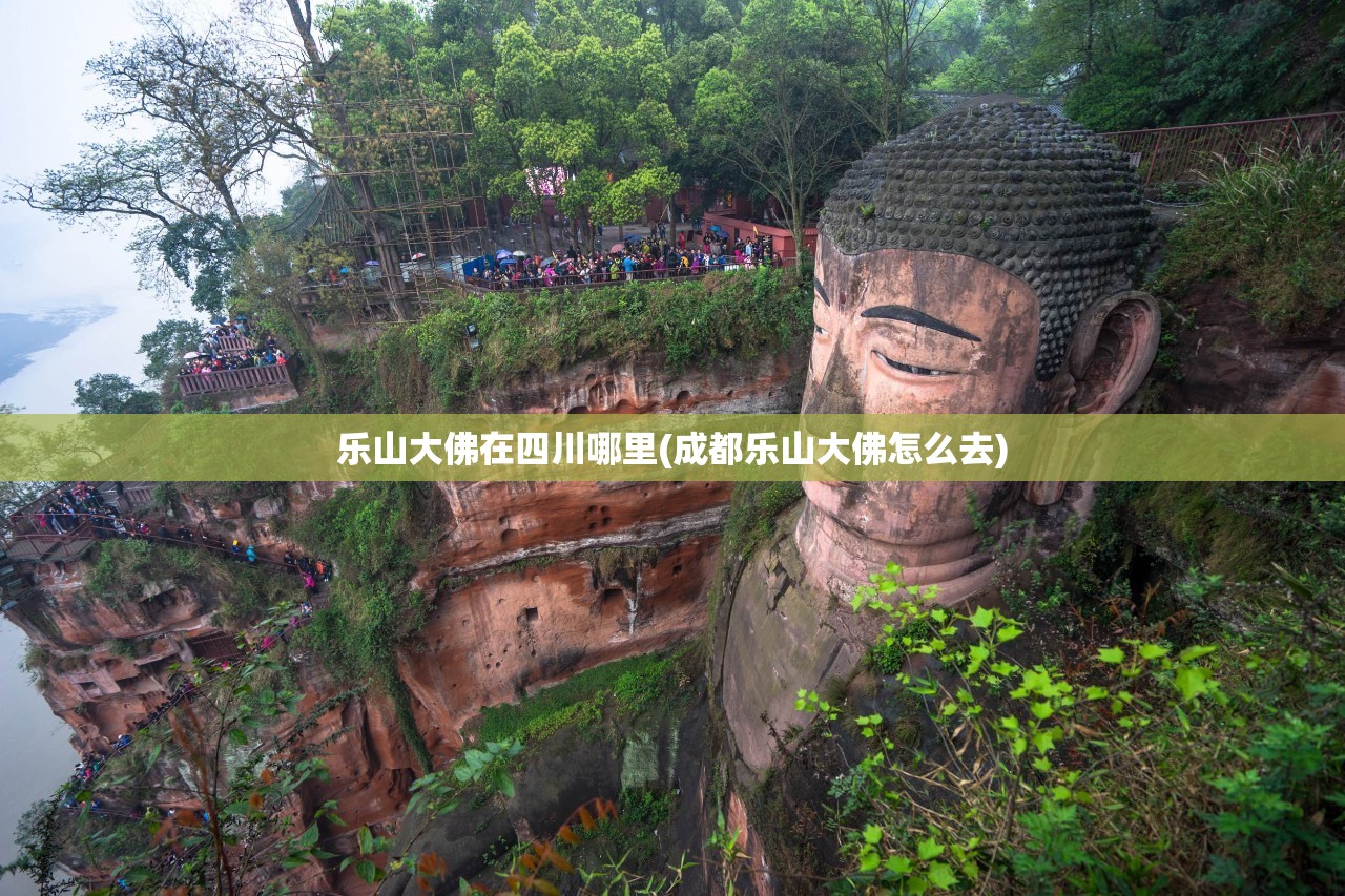 乐山大佛在四川哪里(成都乐山大佛怎么去) 乐山大佛在四川哪里(成都乐山大佛怎么去)