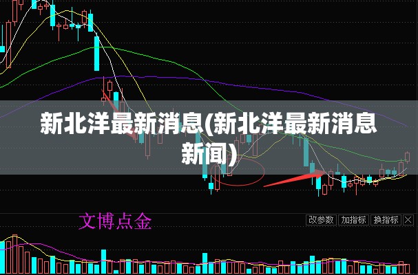 新北洋最新消息(新北洋最新消息新闻)