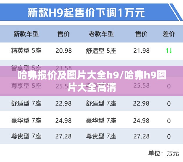 哈弗报价及图片大全h9/哈弗h9图片大全高清 哈弗报价及图片大全h9/哈弗h9图片大全高清