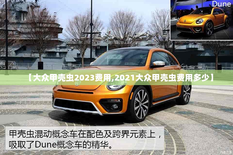 【大众甲壳虫2023费用,2021大众甲壳虫费用多少】 【大众甲壳虫2023费用,2021大众甲壳虫费用多少】