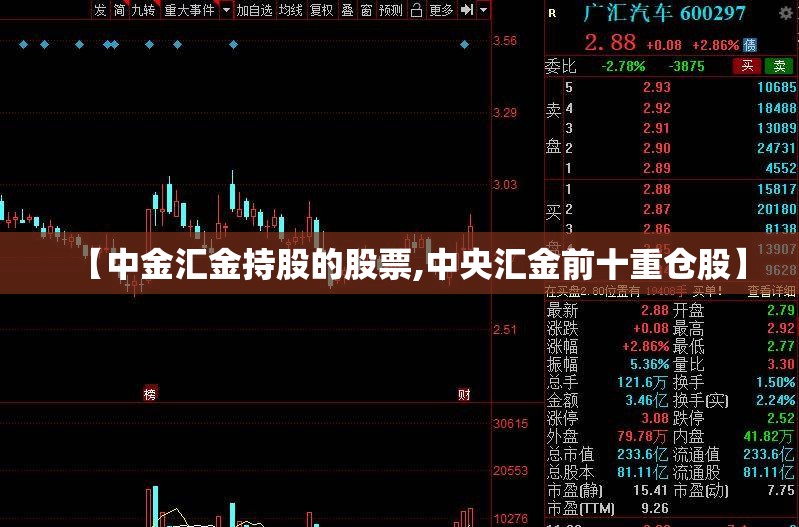 【中金汇金持股的股票,中央汇金前十重仓股】 【中金汇金持股的股票,中央汇金前十重仓股】