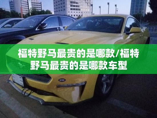 福特野马最贵的是哪款/福特野马最贵的是哪款车型 福特野马最贵的是哪款/福特野马最贵的是哪款车型