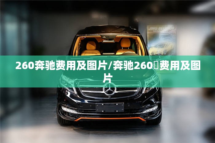 260奔驰费用及图片/奔驰260乚费用及图片