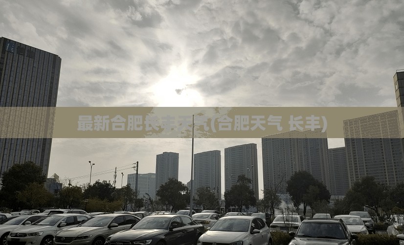 最新合肥长丰天气(合肥天气 长丰)