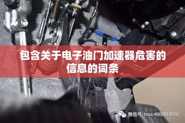 包含关于电子油门加速器危害的信息的词条