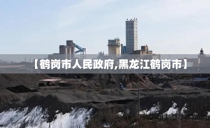 【鹤岗市人民政府,黑龙江鹤岗市】