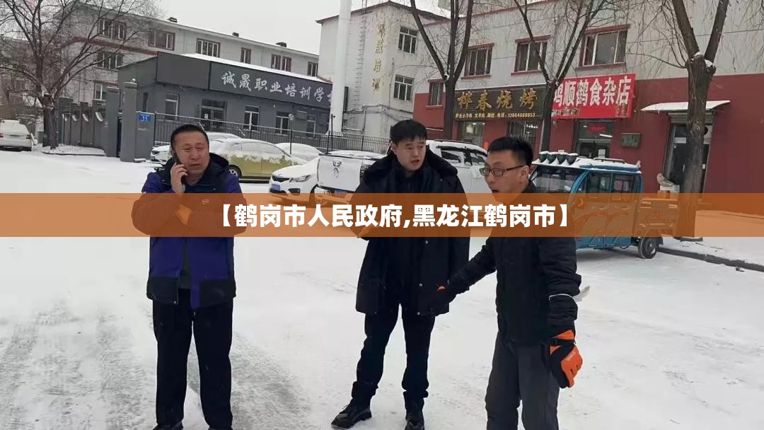 【鹤岗市人民政府,黑龙江鹤岗市】