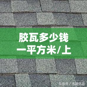 胶瓦多少钱一平方米/上瓦多少钱一平方