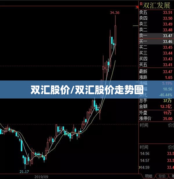 双汇股价/双汇股价走势图
