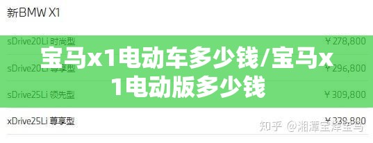 宝马x1电动车多少钱/宝马x1电动版多少钱 宝马x1电动车多少钱/宝马x1电动版多少钱