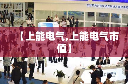 【上能电气,上能电气市值】