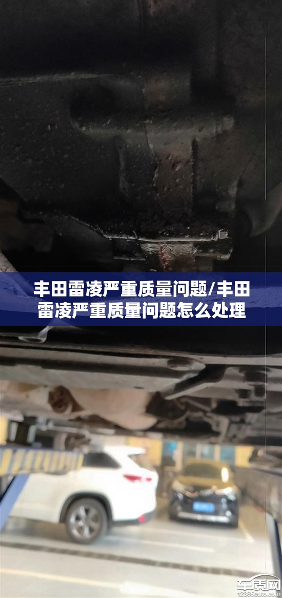 丰田雷凌严重质量问题/丰田雷凌严重质量问题怎么处理 丰田雷凌严重质量问题/丰田雷凌严重质量问题怎么处理