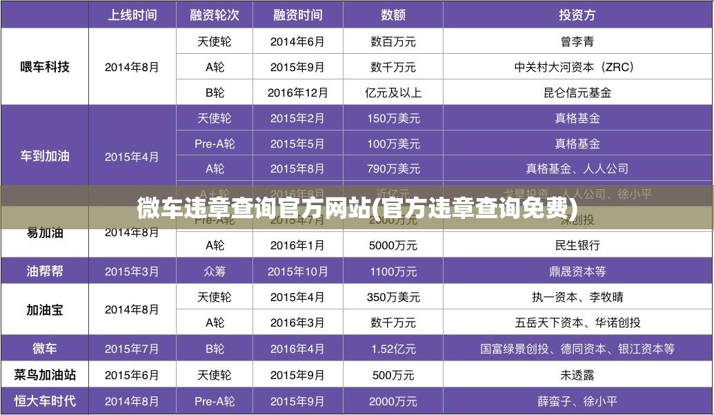 微车违章查询官方网站(官方违章查询免费)