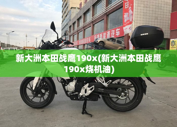 新大洲本田战鹰190x(新大洲本田战鹰190x烧机油)