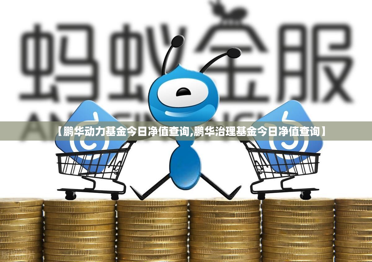 【鹏华动力基金今日净值查询,鹏华治理基金今日净值查询】 【鹏华动力基金今日净值查询,鹏华治理基金今日净值查询】