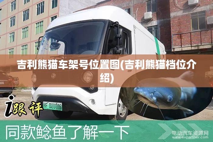 吉利熊猫车架号位置图(吉利熊猫档位介绍) 吉利熊猫车架号位置图(吉利熊猫档位介绍)