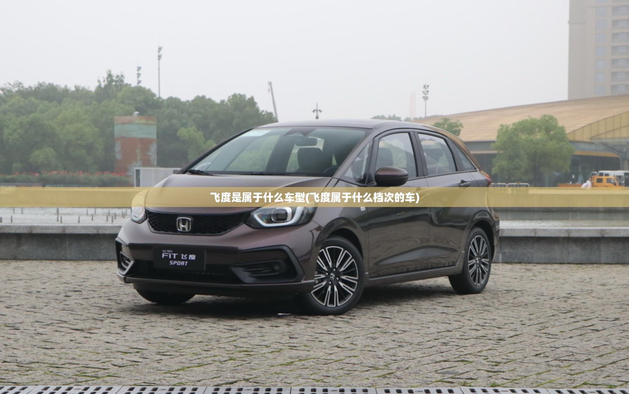 飞度是属于什么车型(飞度属于什么档次的车) 飞度是属于什么车型(飞度属于什么档次的车)