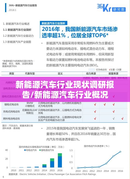 新能源汽车行业现状调研报告/新能源汽车行业概况 新能源汽车行业现状调研报告/新能源汽车行业概况
