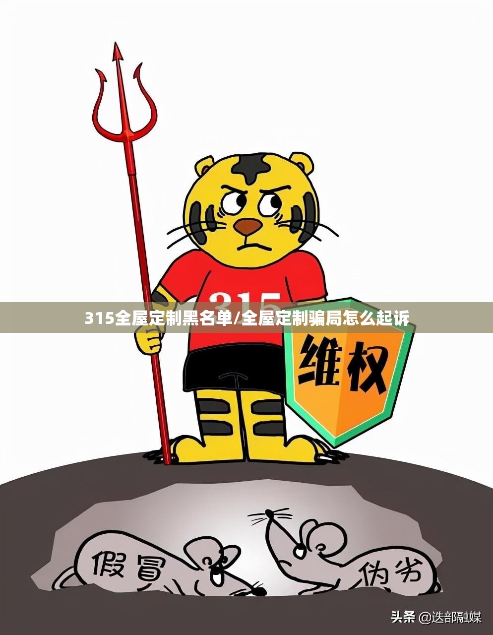 315全屋定制黑名单/全屋定制骗局怎么起诉 315全屋定制黑名单/全屋定制骗局怎么起诉
