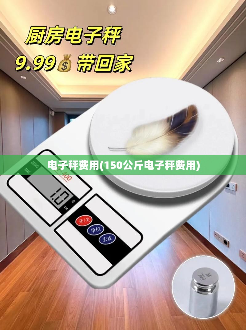电子秤费用(150公斤电子秤费用) 电子秤费用(150公斤电子秤费用)