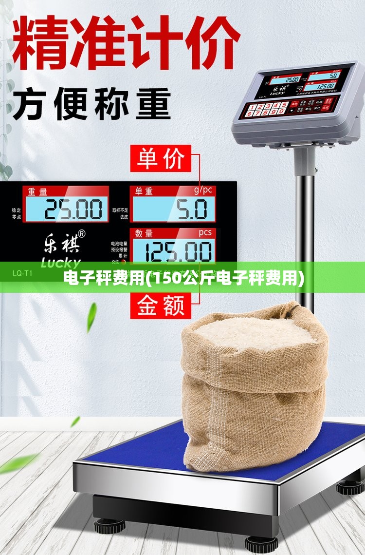 电子秤费用(150公斤电子秤费用) 电子秤费用(150公斤电子秤费用)