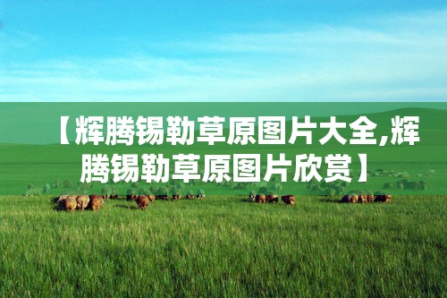 【辉腾锡勒草原图片大全,辉腾锡勒草原图片欣赏】 【辉腾锡勒草原图片大全,辉腾锡勒草原图片欣赏】