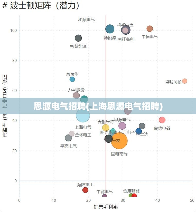思源电气招聘(上海思源电气招聘)