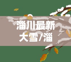 淄川最新大雪/淄川最新招工信息