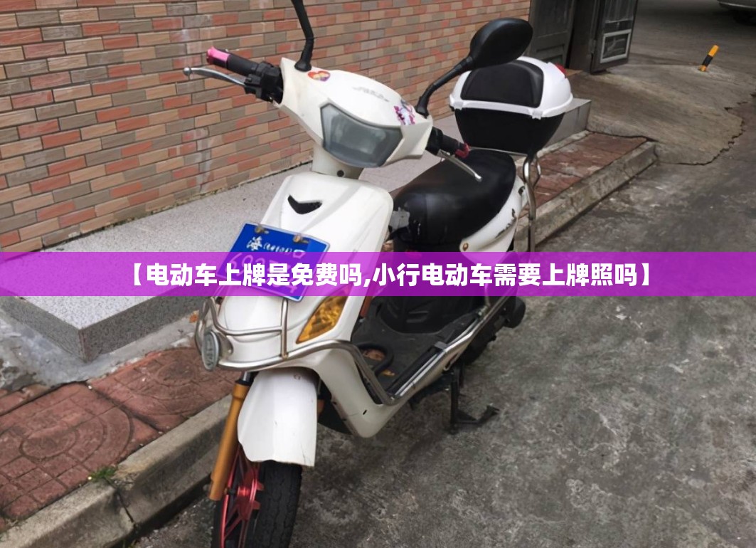 【电动车上牌是免费吗,小行电动车需要上牌照吗】