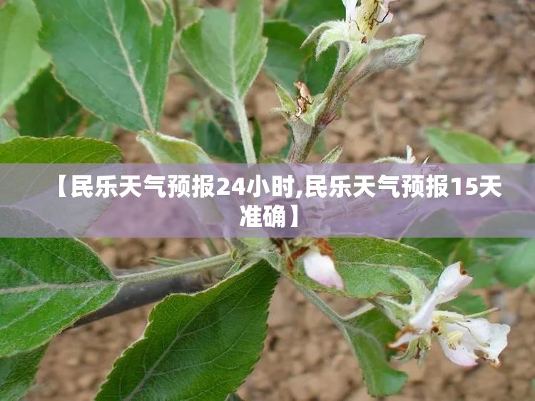 【民乐天气预报24小时,民乐天气预报15天准确】