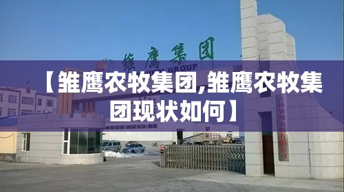 【雏鹰农牧集团,雏鹰农牧集团现状如何】