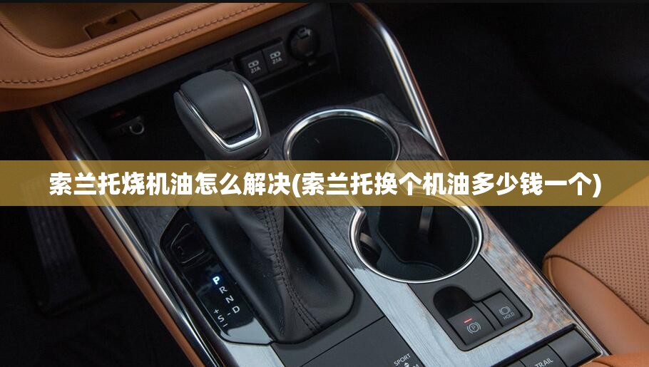 索兰托烧机油怎么解决(索兰托换个机油多少钱一个)