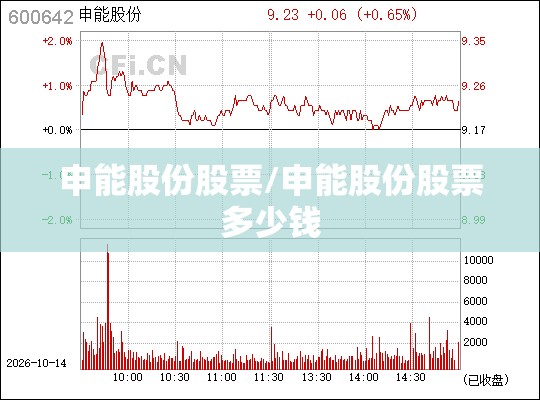 申能股份股票/申能股份股票多少钱 申能股份股票/申能股份股票多少钱