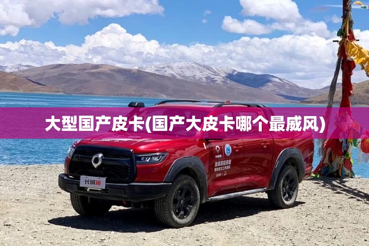 大型国产皮卡(国产大皮卡哪个最威风)