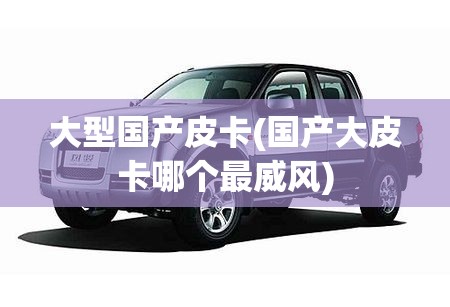 大型国产皮卡(国产大皮卡哪个最威风)