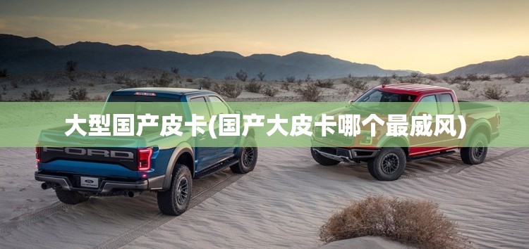 大型国产皮卡(国产大皮卡哪个最威风)