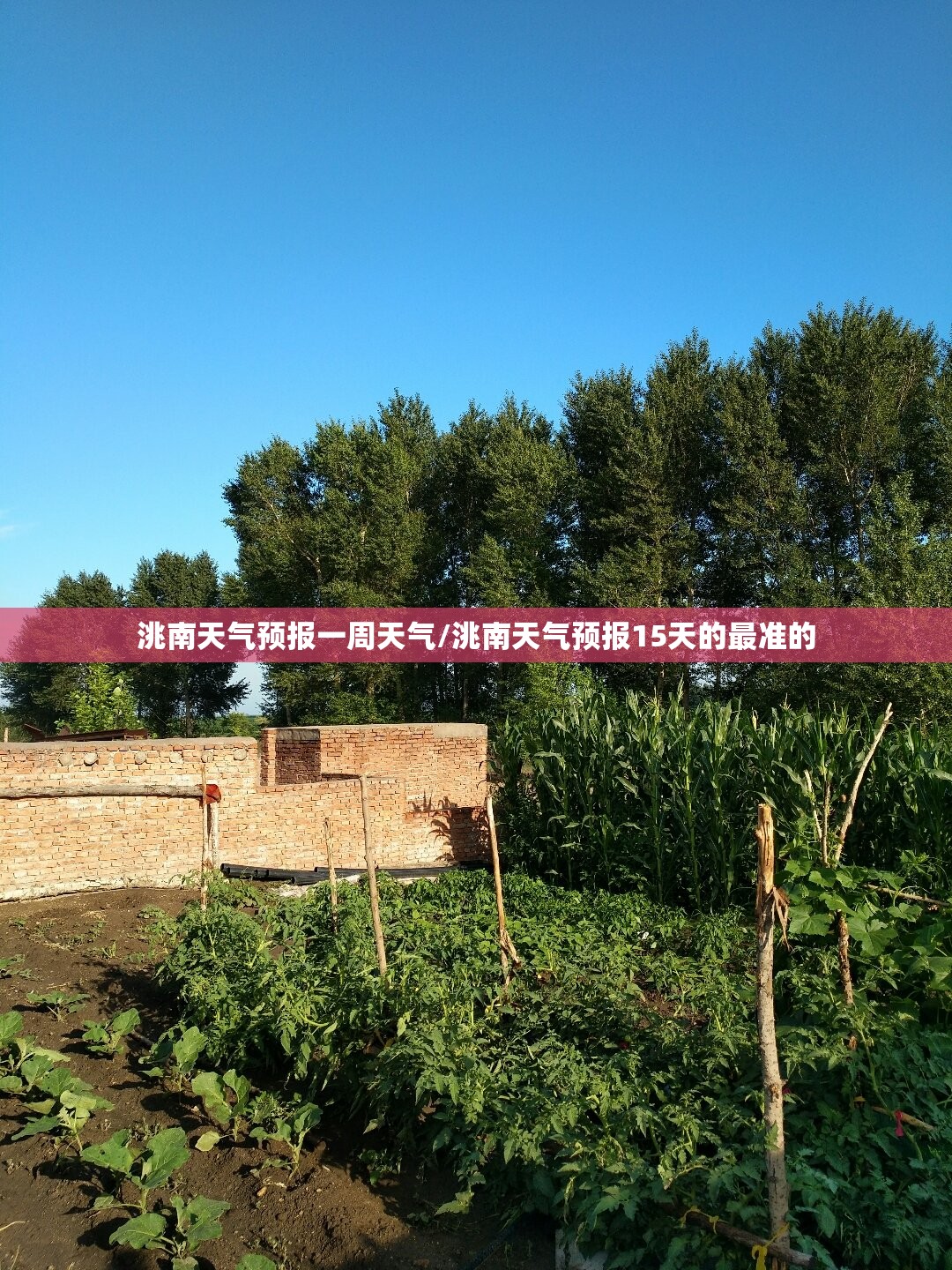 洮南天气预报一周天气/洮南天气预报15天的最准的 洮南天气预报一周天气/洮南天气预报15天的最准的