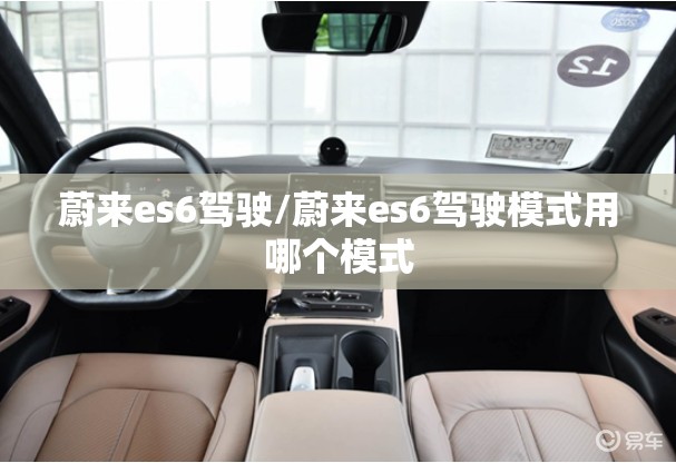 蔚来es6驾驶/蔚来es6驾驶模式用哪个模式