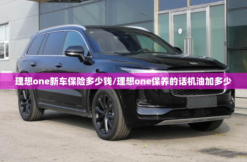 理想one新车保险多少钱/理想one保养的话机油加多少 理想one新车保险多少钱/理想one保养的话机油加多少