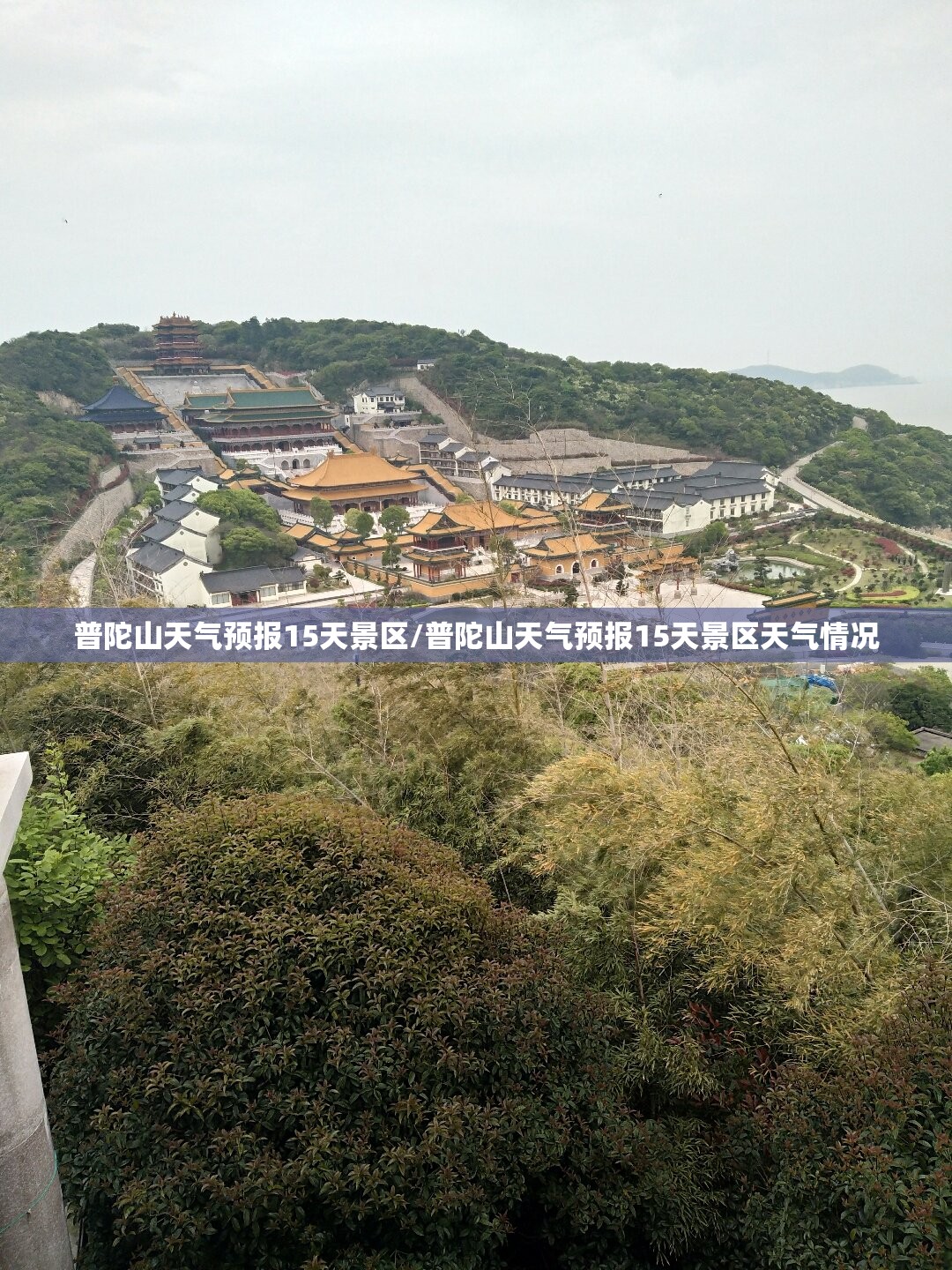 普陀山天气预报15天景区/普陀山天气预报15天景区天气情况