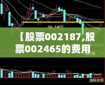 【股票002187,股票002465的费用】 【股票002187,股票002465的费用】