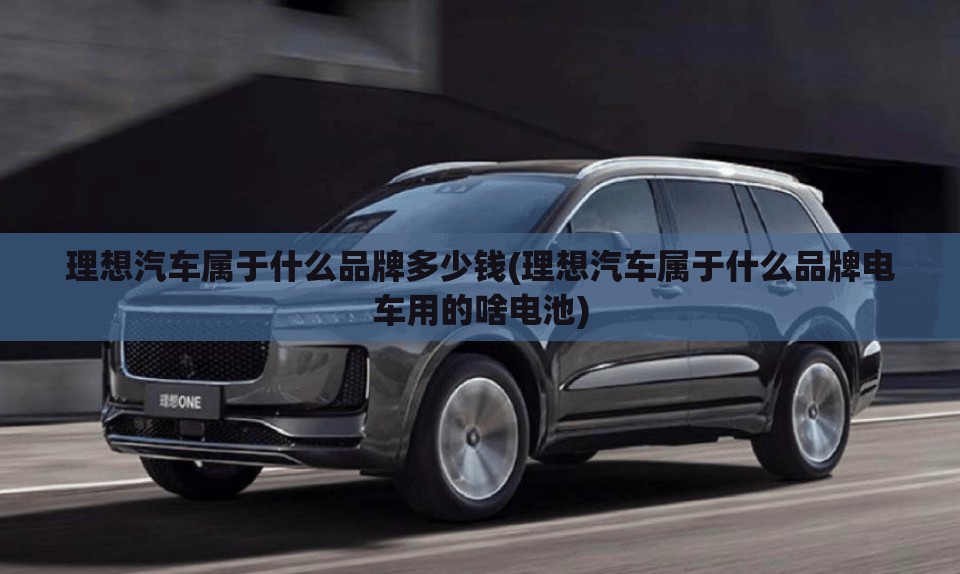 理想汽车属于什么品牌多少钱(理想汽车属于什么品牌电车用的啥电池) 理想汽车属于什么品牌多少钱(理想汽车属于什么品牌电车用的啥电池)