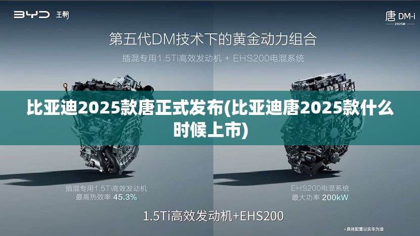 比亚迪2025款唐正式发布(比亚迪唐2025款什么时候上市)